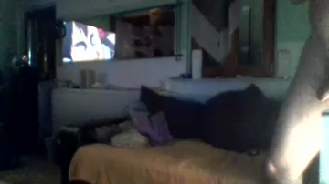 Pitterporz  10-09-2021 Recorded Video Download